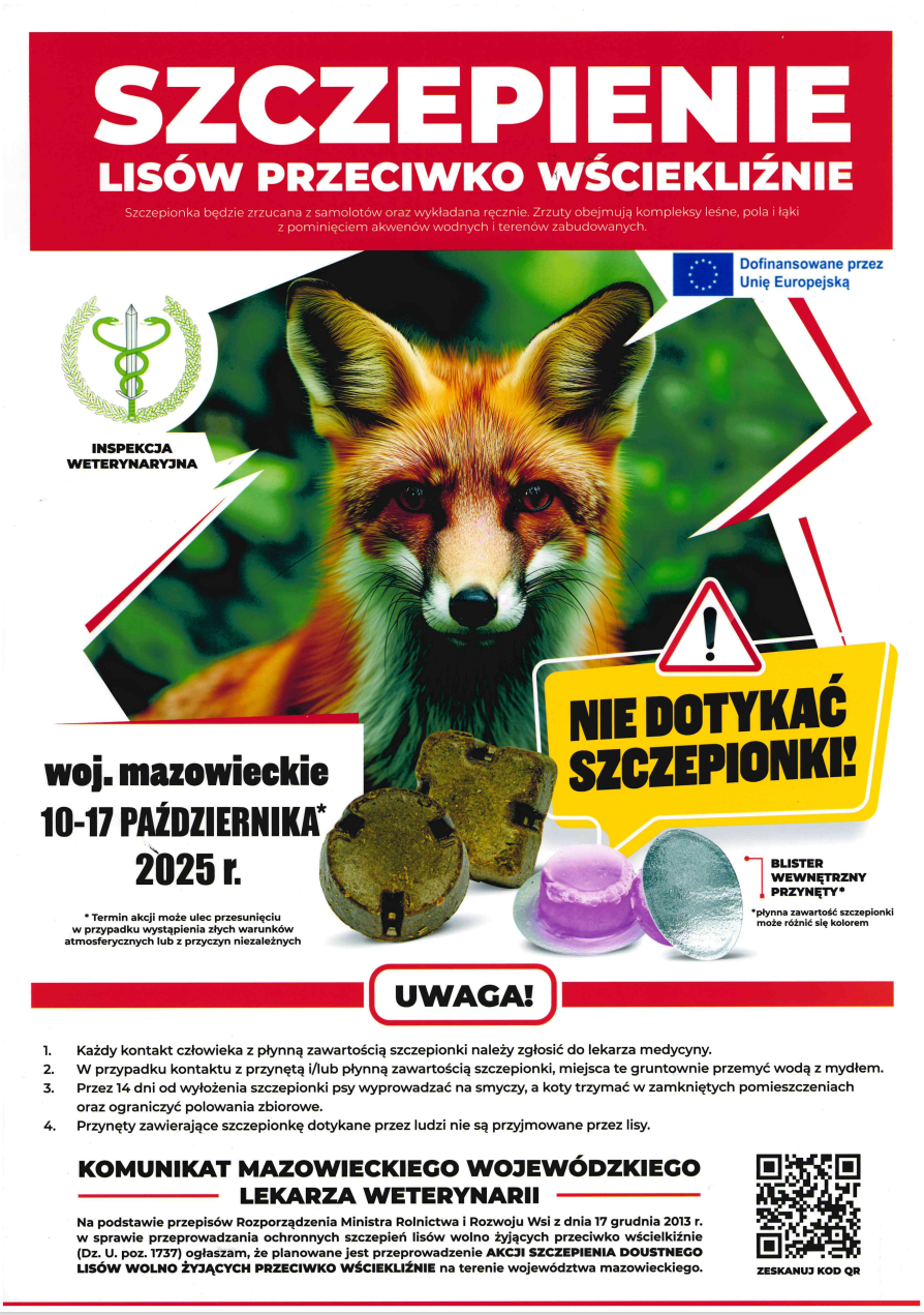 Jesienne szczepienie lisów przeciwko wściekliźnie